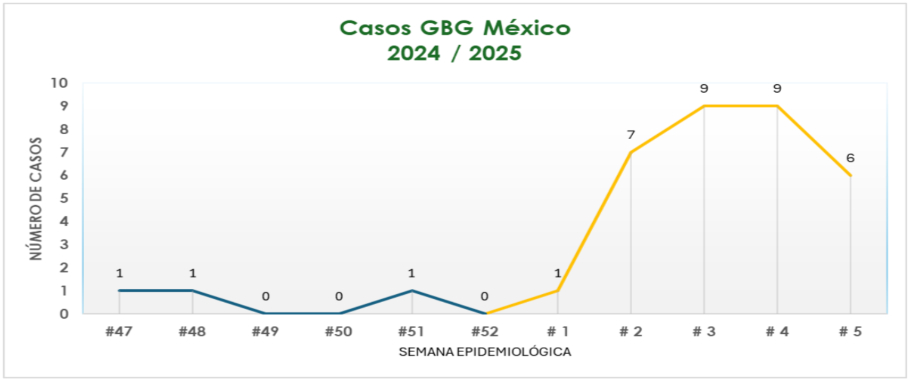 casos méxico